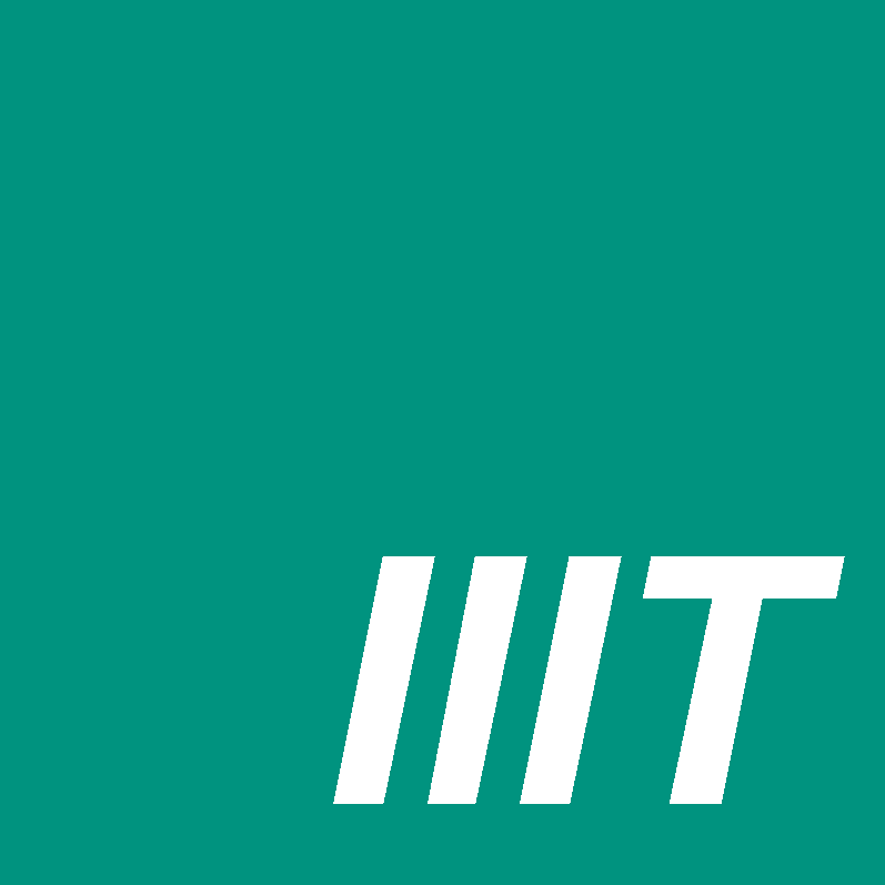 Institut für Industrielle Informationstechnik (IIIT), Prof. Dr.-Ing. Michael Heizmann