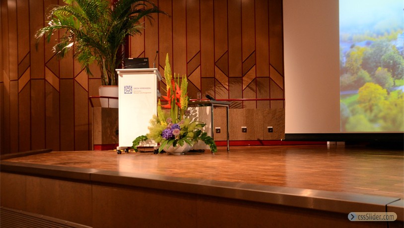 CIRPCMMO2015_Day1_066