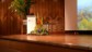 CIRPCMMO2015_Day1_066