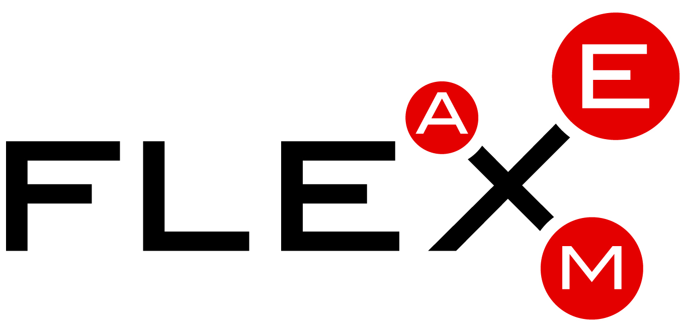 Logo FlexAEM