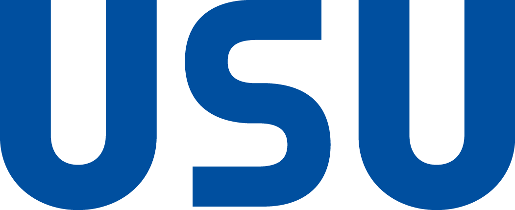 USU Software AG