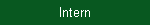 Intern