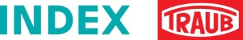 INDEX Logo